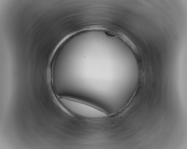X0000115381092200911101301