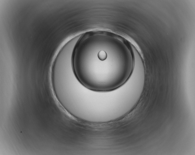 X0000115381096200911101301
