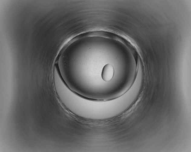 X0000115381097200911101301