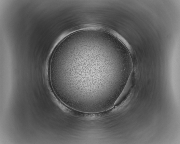 X0000115381099200911101301