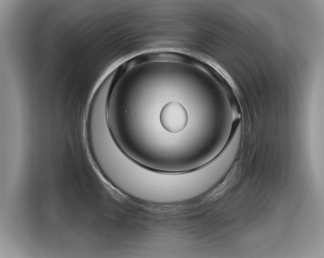 X0000115381101200911101301