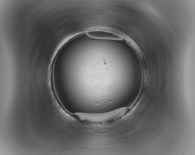 X0000115381102200911101301