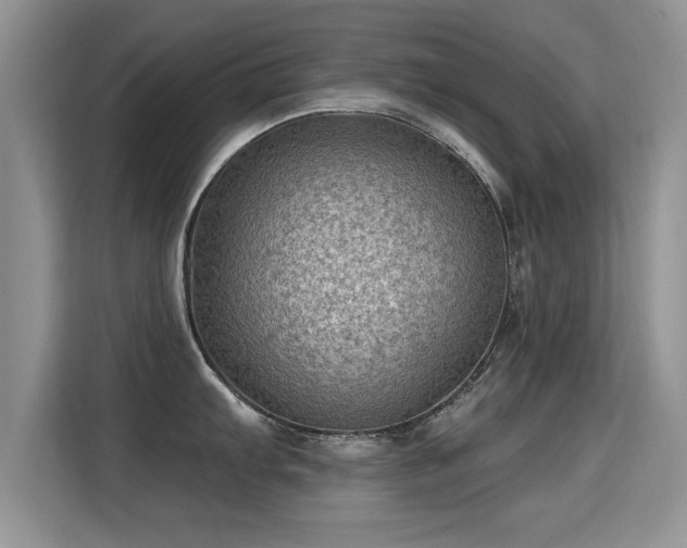 X0000115381103200911101301