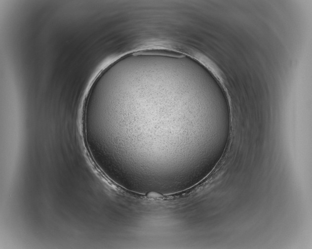 X0000115381104200911101301