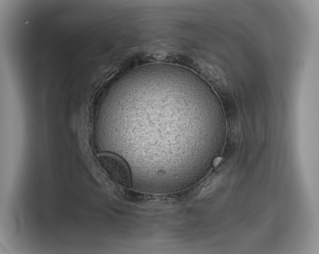 X0000115381105200911101301