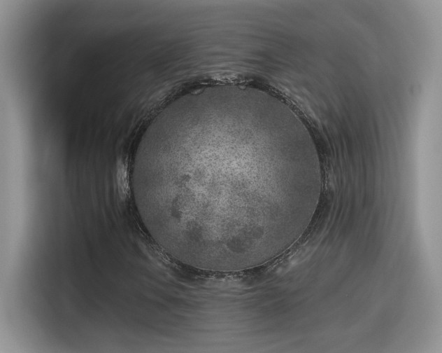 X0000115381106200911101301