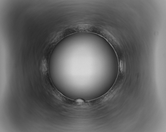 X0000115381107200911101301