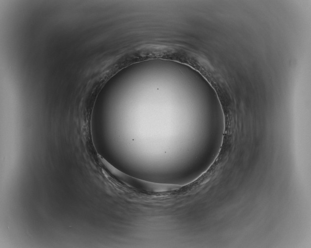 X0000115381109200911101301