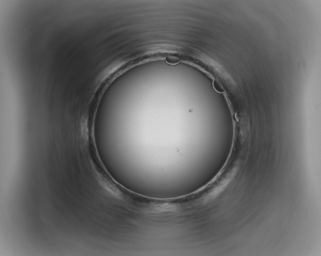 X0000115381113200911101301