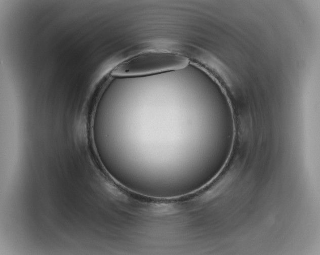 X0000115381114200911101301