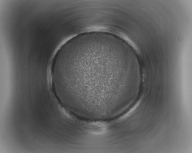 X0000115381117200911101301