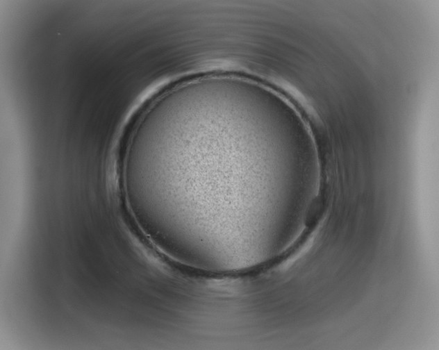 X0000115381118200911101301