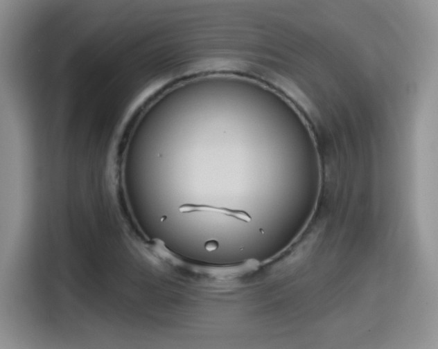 X0000115381119200911101301
