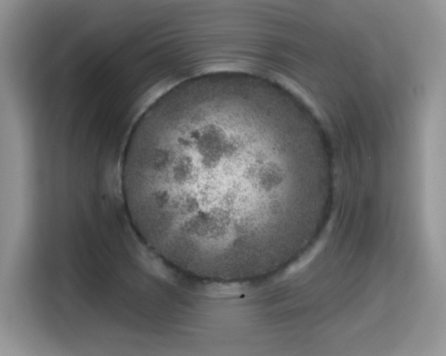 X0000115381121200911101301