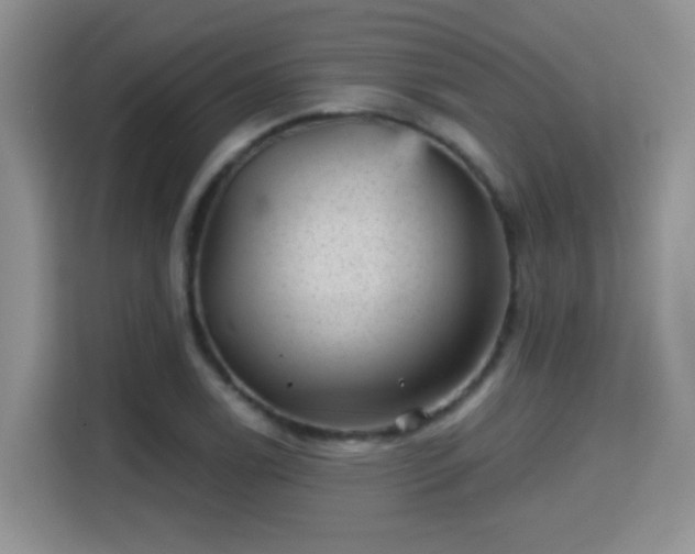 X0000115381122200911101301