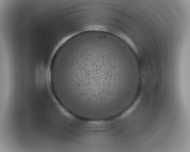 X0000115381125200911101301