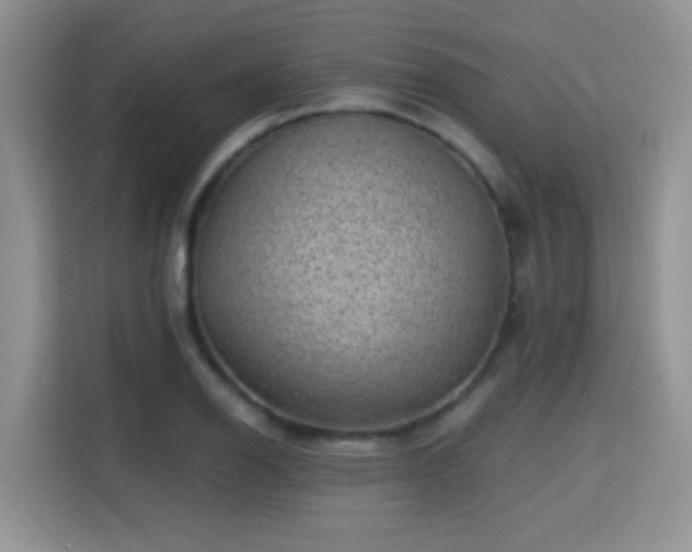 X0000115381126200911101301