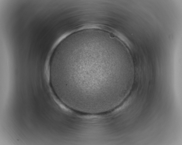 X0000115381127200911101301