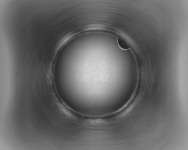 X0000115381129200911101301