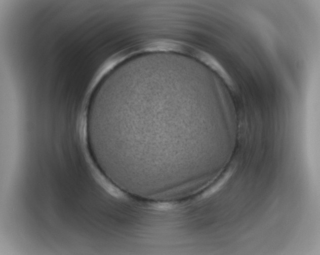 X0000115381130200911101301
