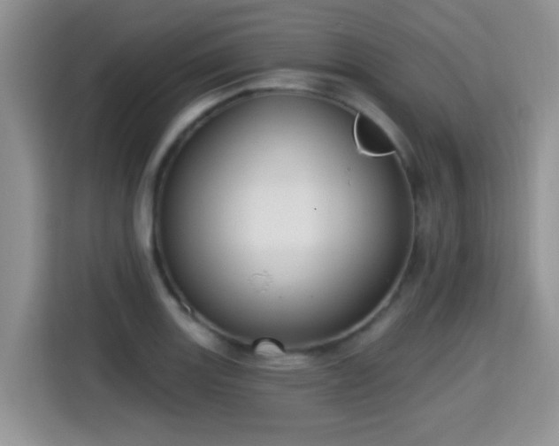 X0000115381131200911101301