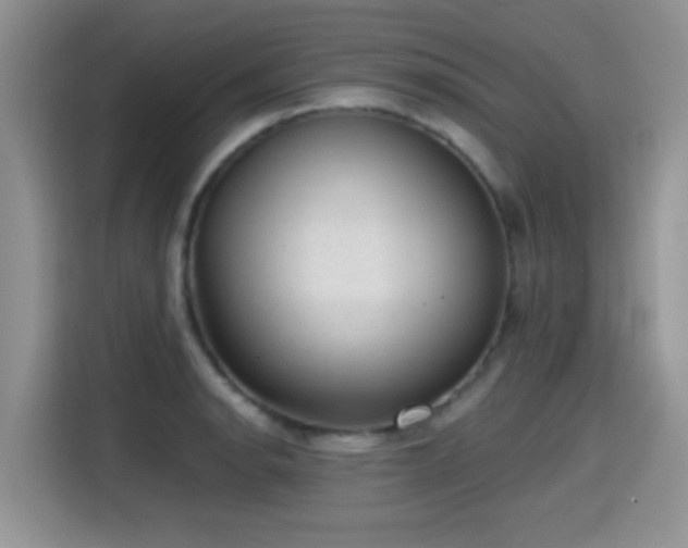 X0000115381134200911101301