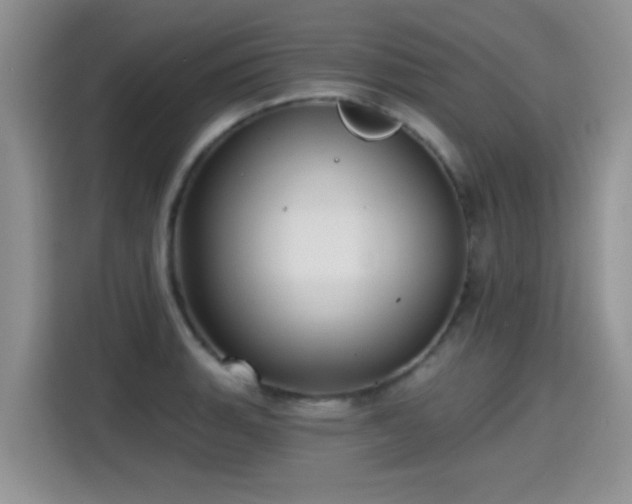 X0000115381135200911101301