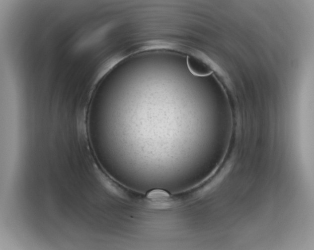 X0000115381137200911101301