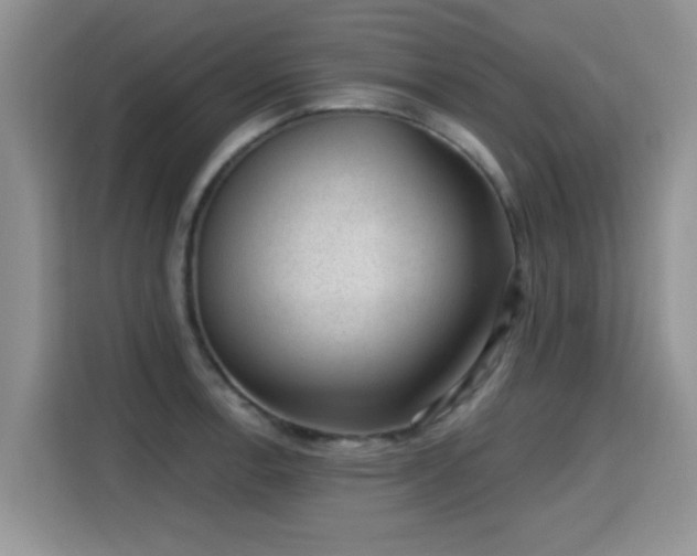 X0000115381138200911101301