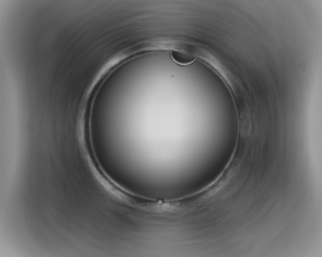 X0000115381139200911101301