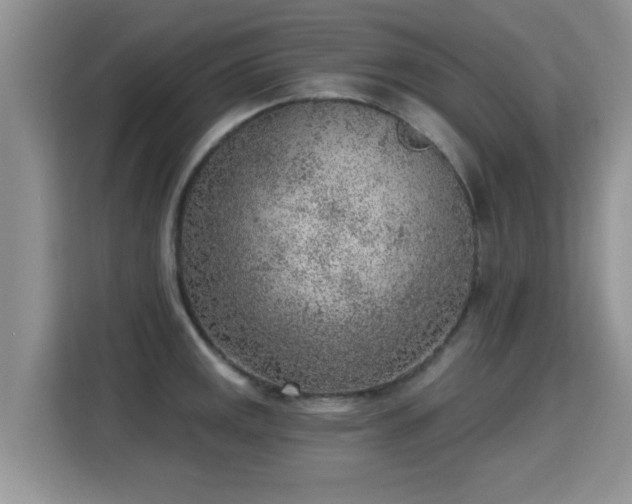 X0000115381141200911101301