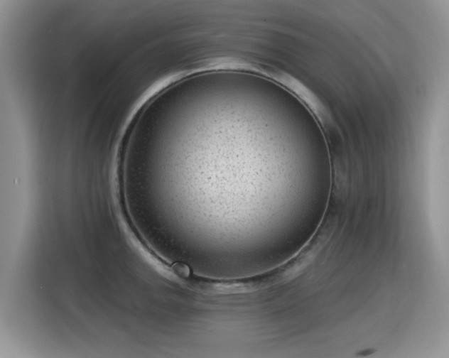 X0000115381142200911101301