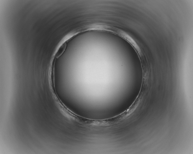 X0000115381146200911101301
