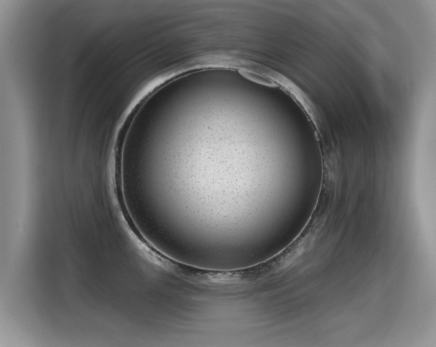 X0000115381147200911101301