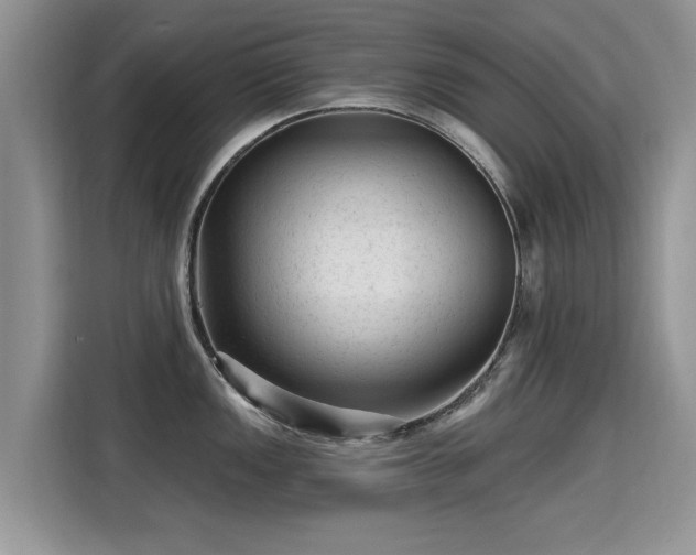 X0000115381149200911101301