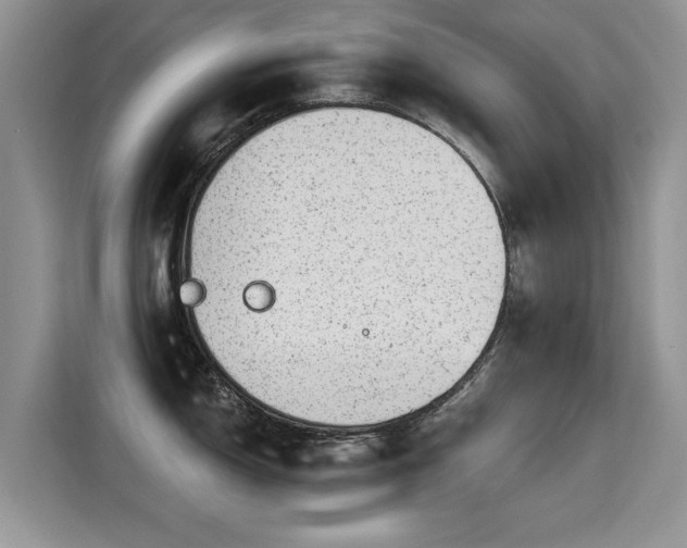 X0000115381150200911101301