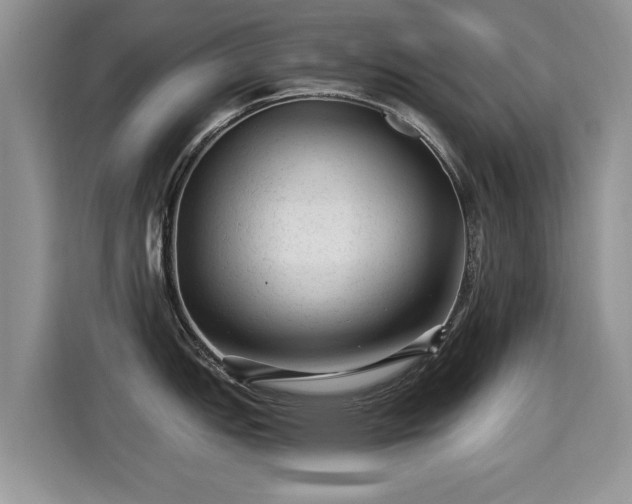 X0000115381151200911101301