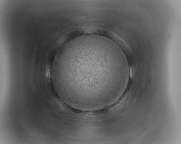 X0000115381155200911101301