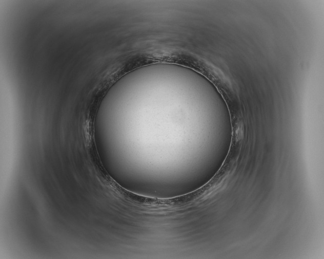 X0000115381156200911101301