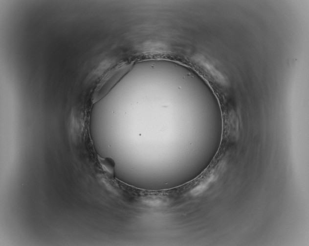 X0000115381157200911101301