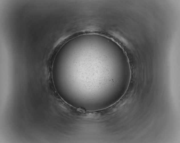 X0000115381160200911101300