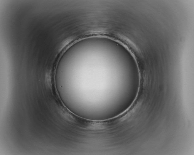 X0000115381162200911101300
