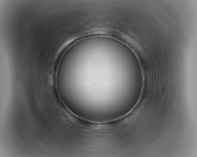 X0000115381166200911101300