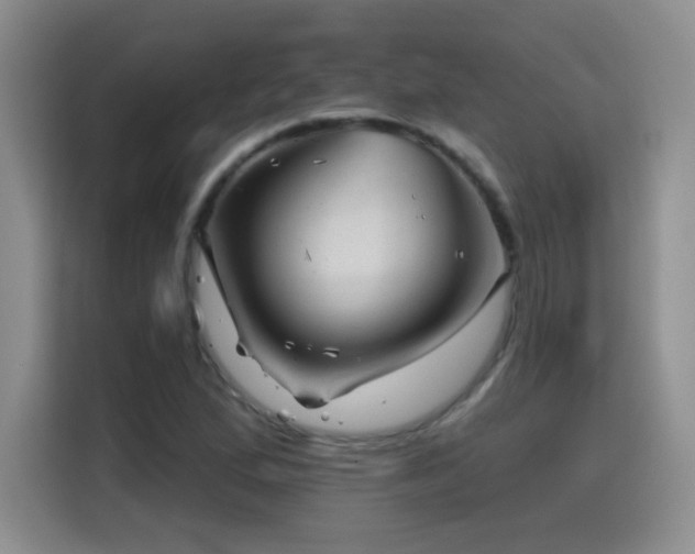 X0000115381167200911101300