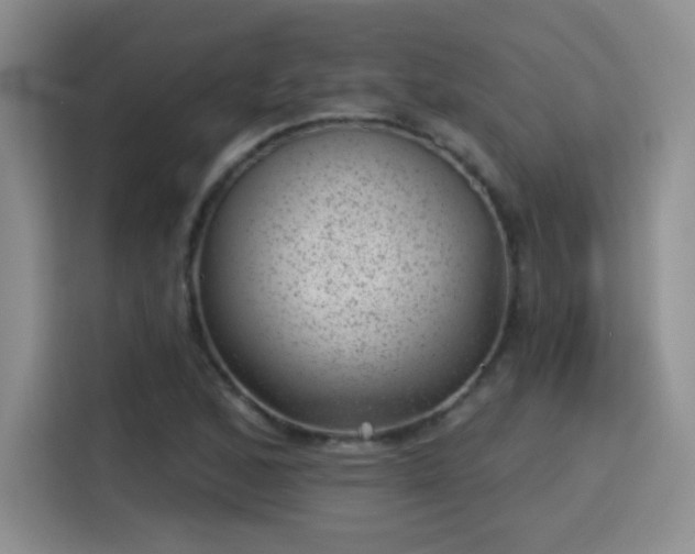 X0000115381168200911101300