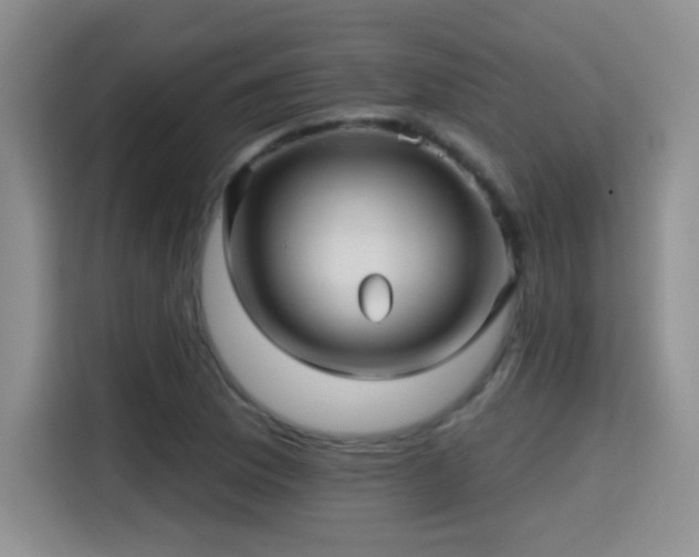 X0000115381169200911101300