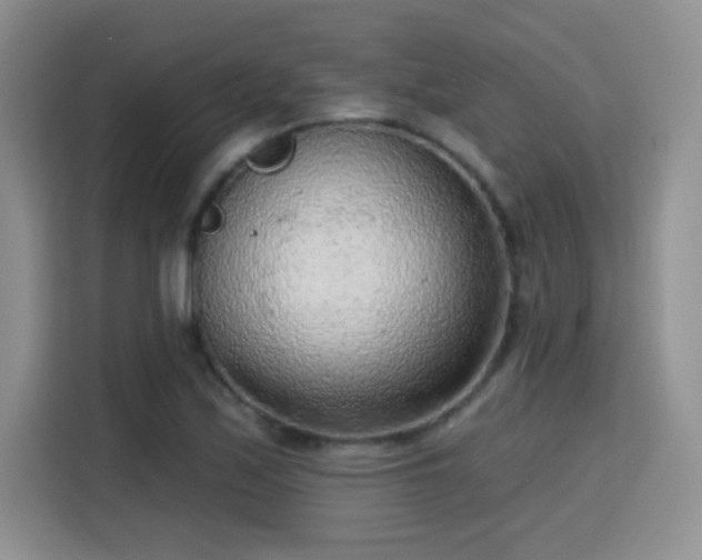 X0000115381171200911101300