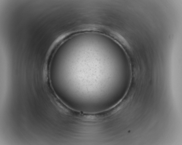 X0000115381172200911101300