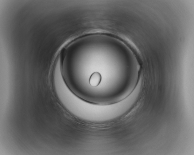 X0000115381173200911101300