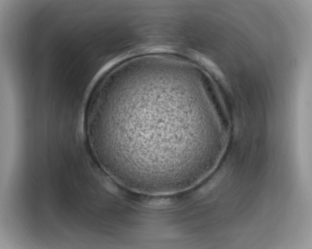 X0000115381174200911101300